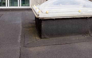 disadvantages of Newbattle flat roofs