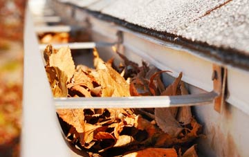 Newbattle gutter cleaning companies