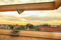 rated Newbattle roof window companies